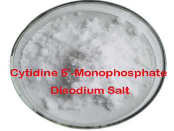 What Is Cytidine 5'-Monophosphate Disodium Salt?